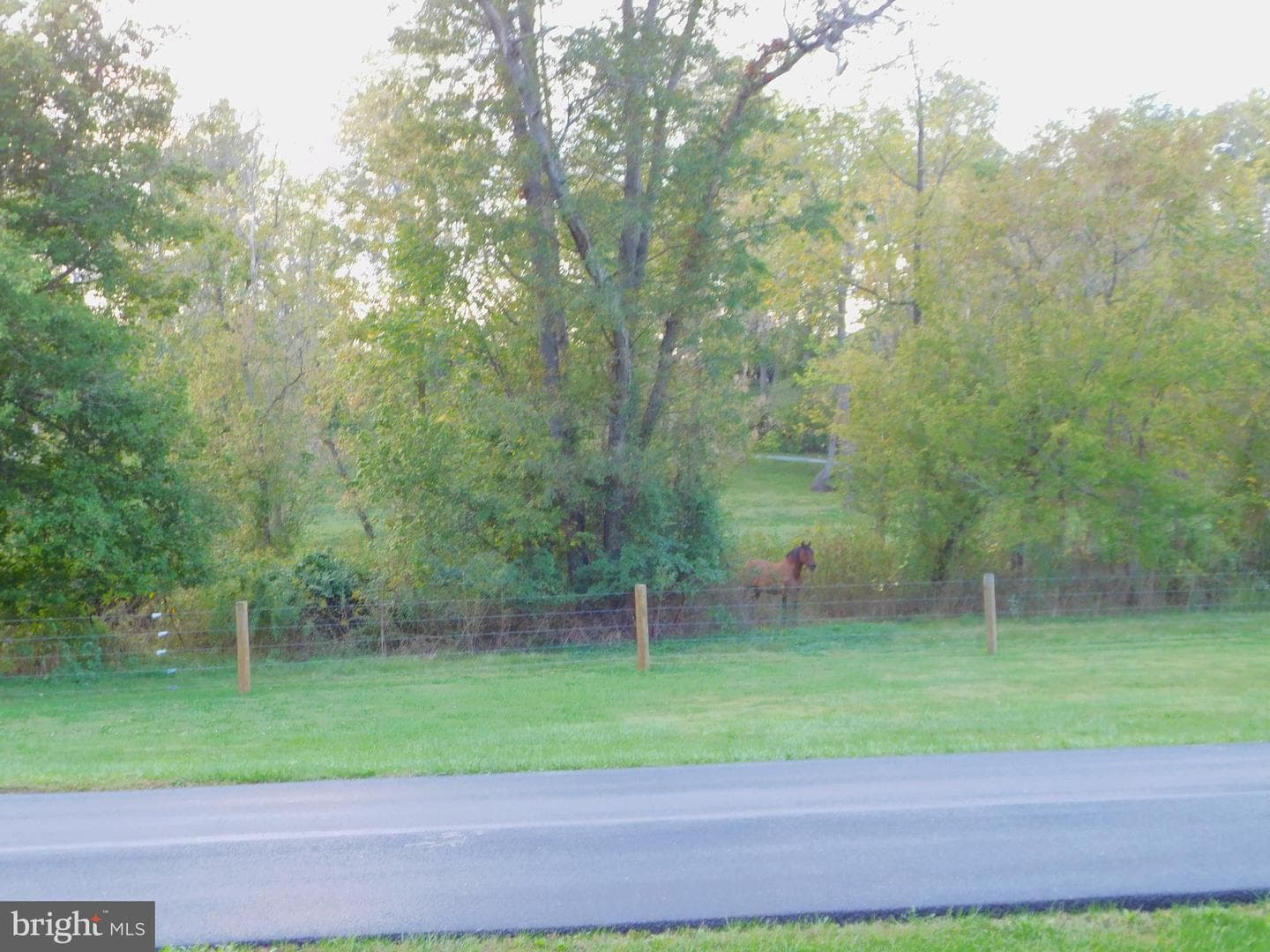 13202 Nittany Court photo 40