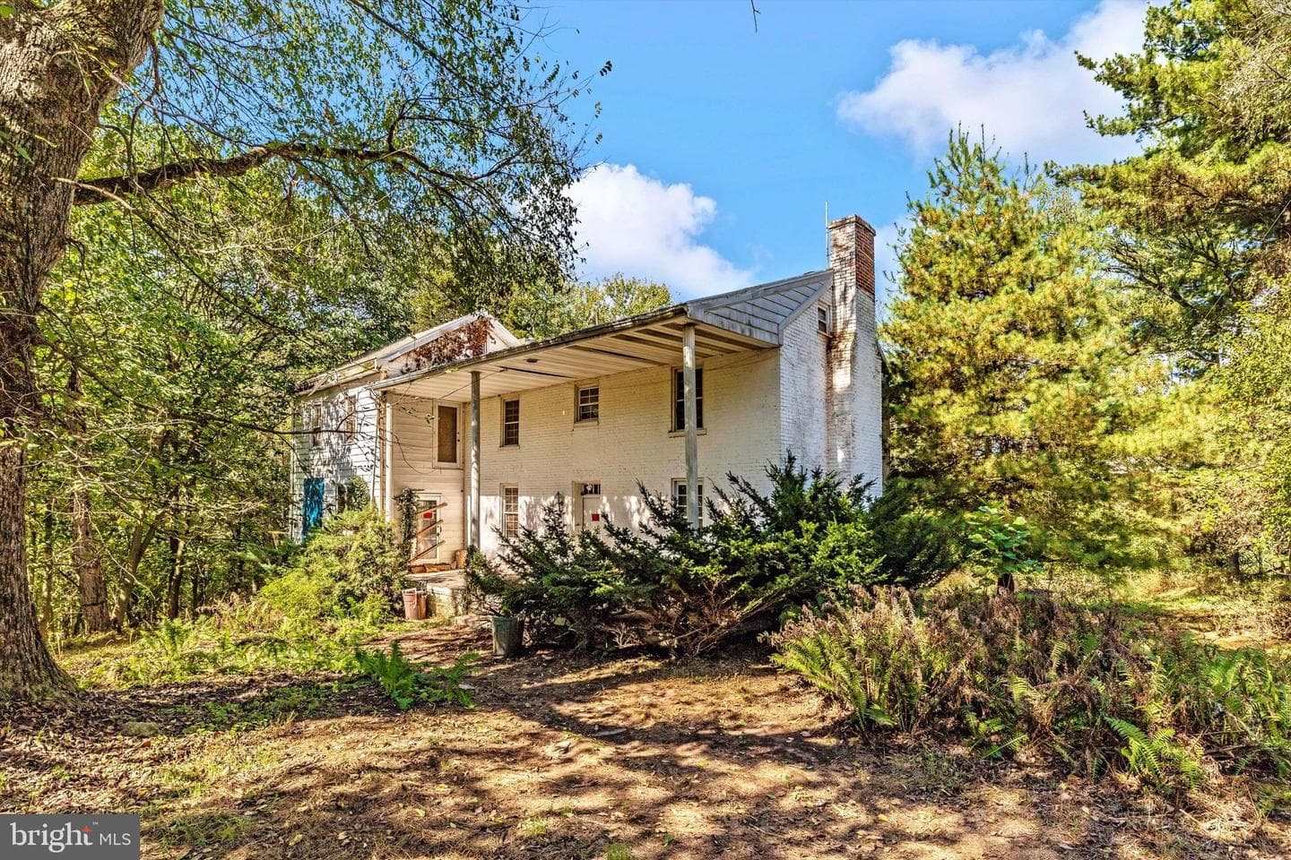 6753 Dickerson Road photo 3