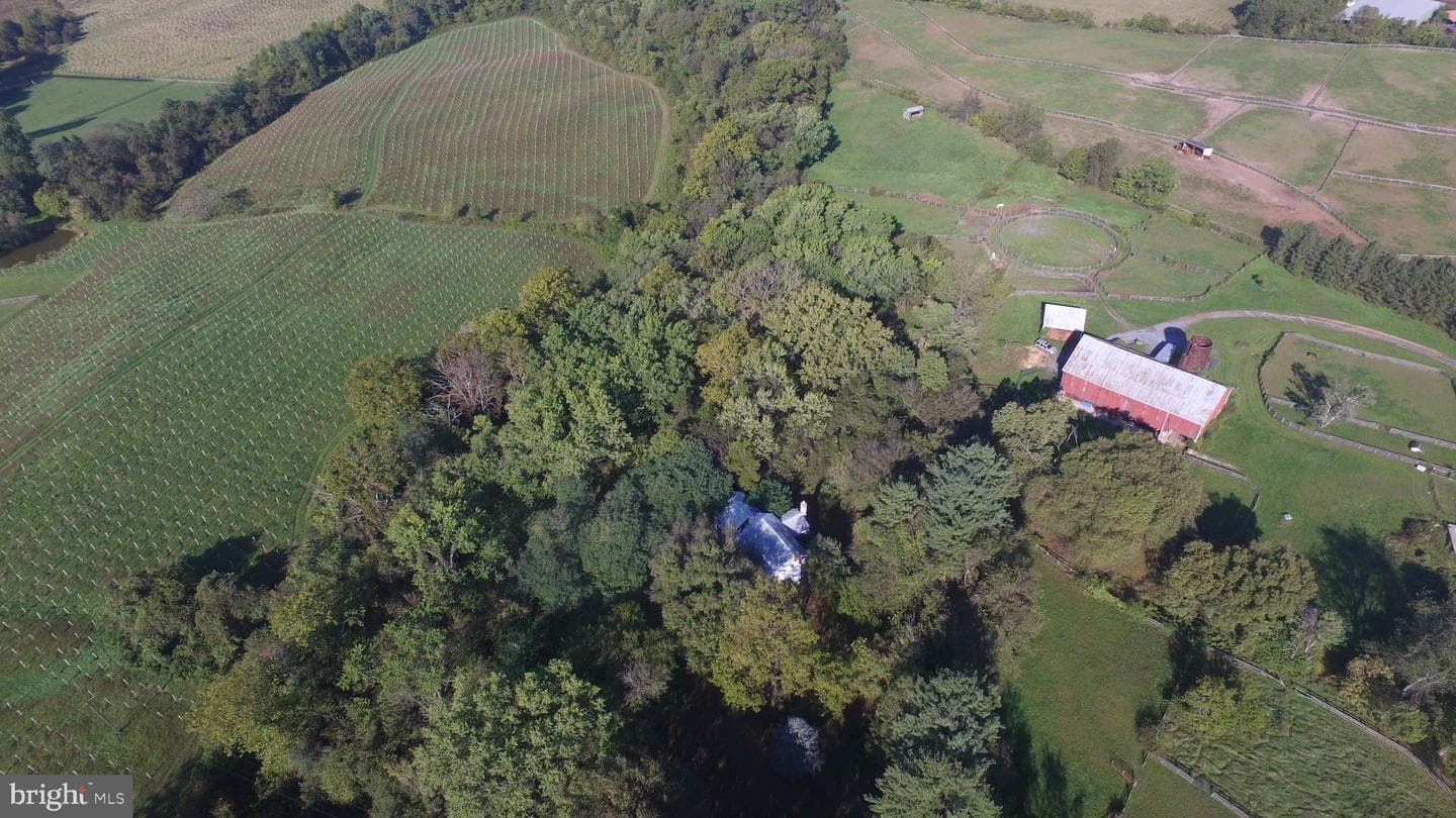 6753 Dickerson Road photo 44
