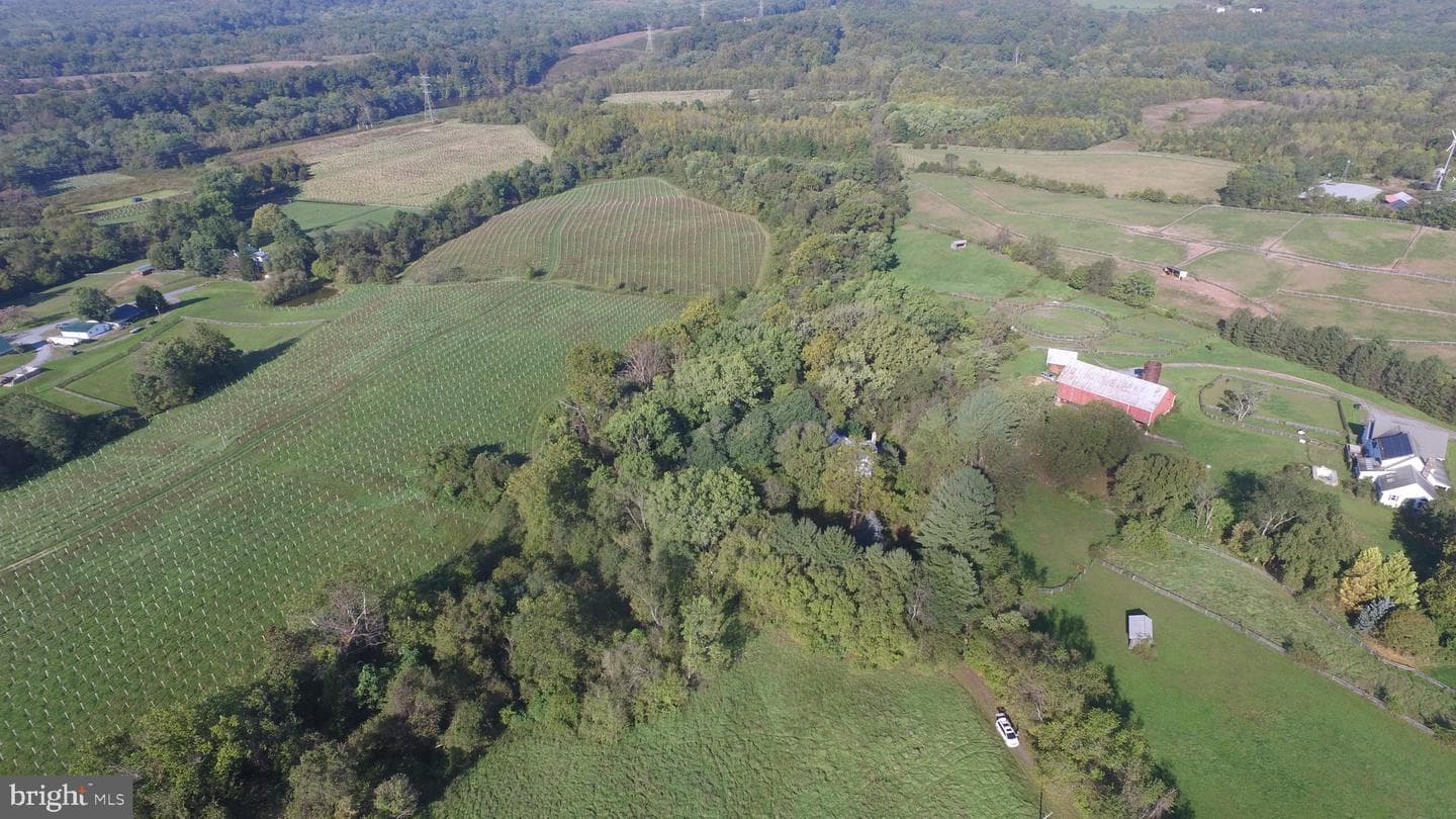 6753 Dickerson Road photo 47