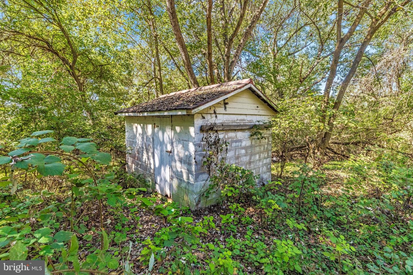 6753 Dickerson Road photo 7