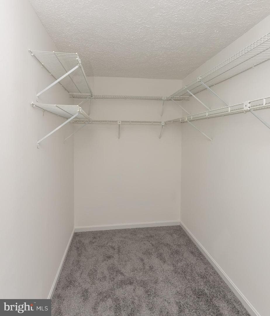 216 Cobble Way photo 15
