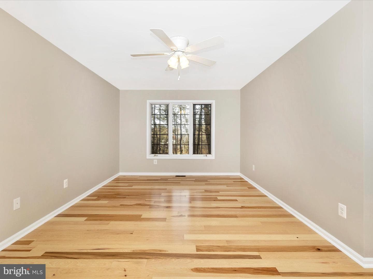 7407 Woodville photo 19