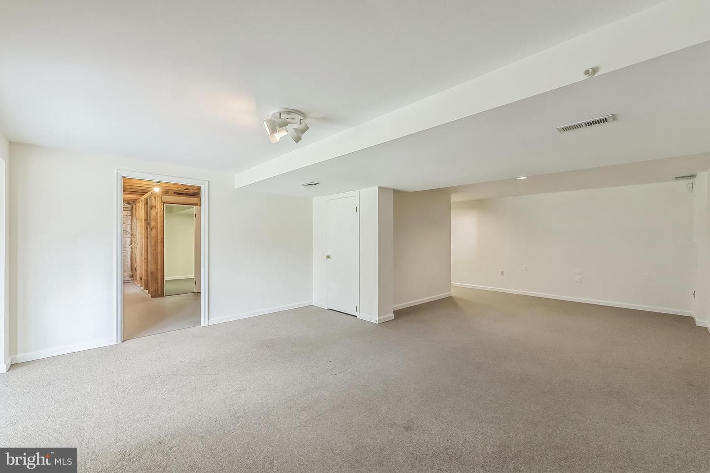 1414 Bluewing Court photo 47