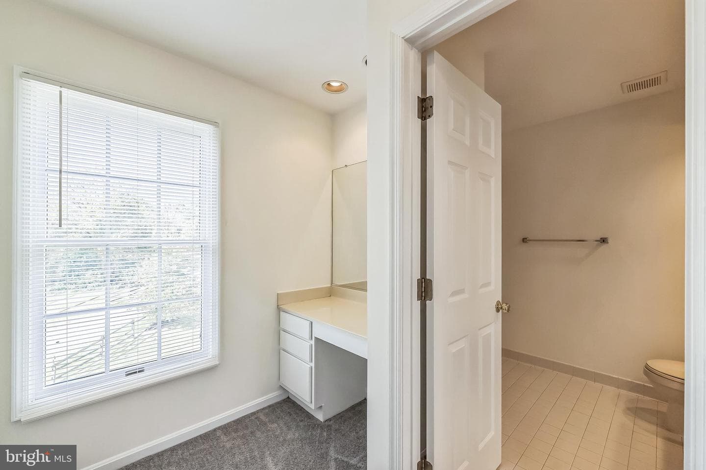 1414 Bluewing Court photo 59
