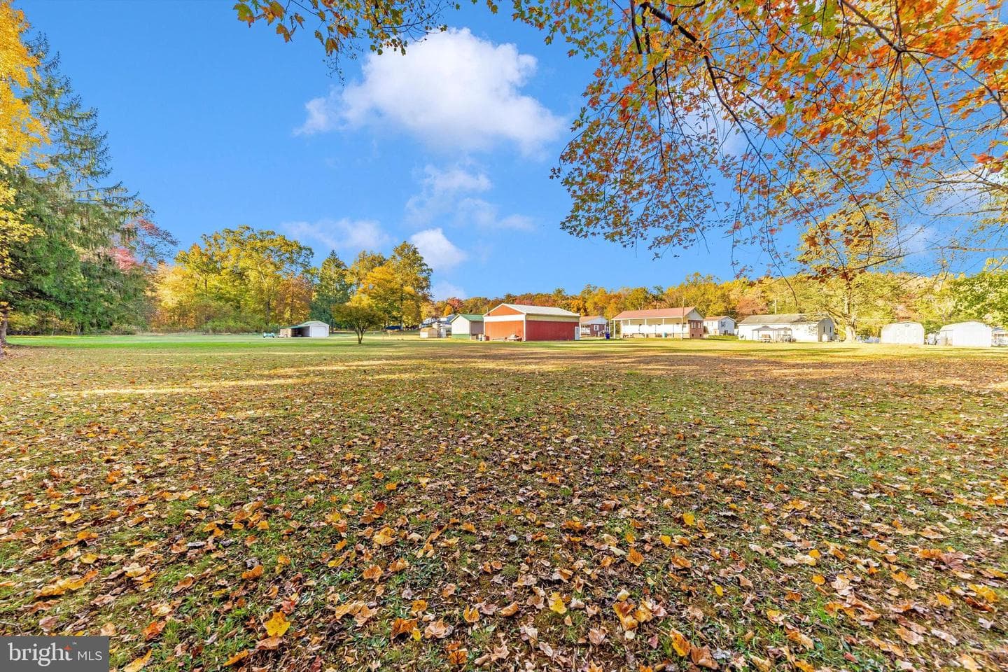 7123 Blue Mountain Road photo 48