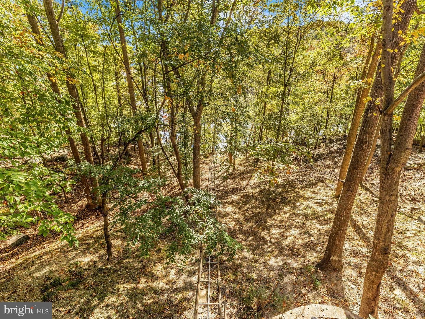 6771 Accipiter Drive photo 11