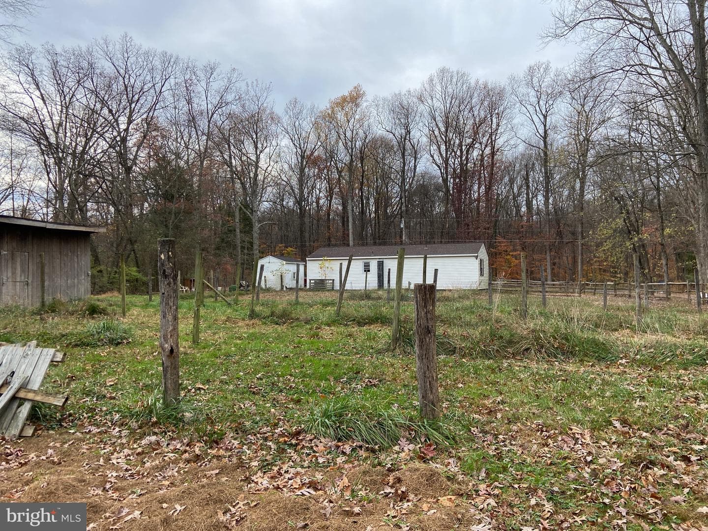 10711 Bethel Road photo 2