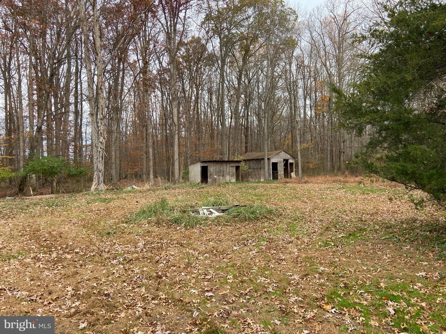 10711 Bethel Road photo 6