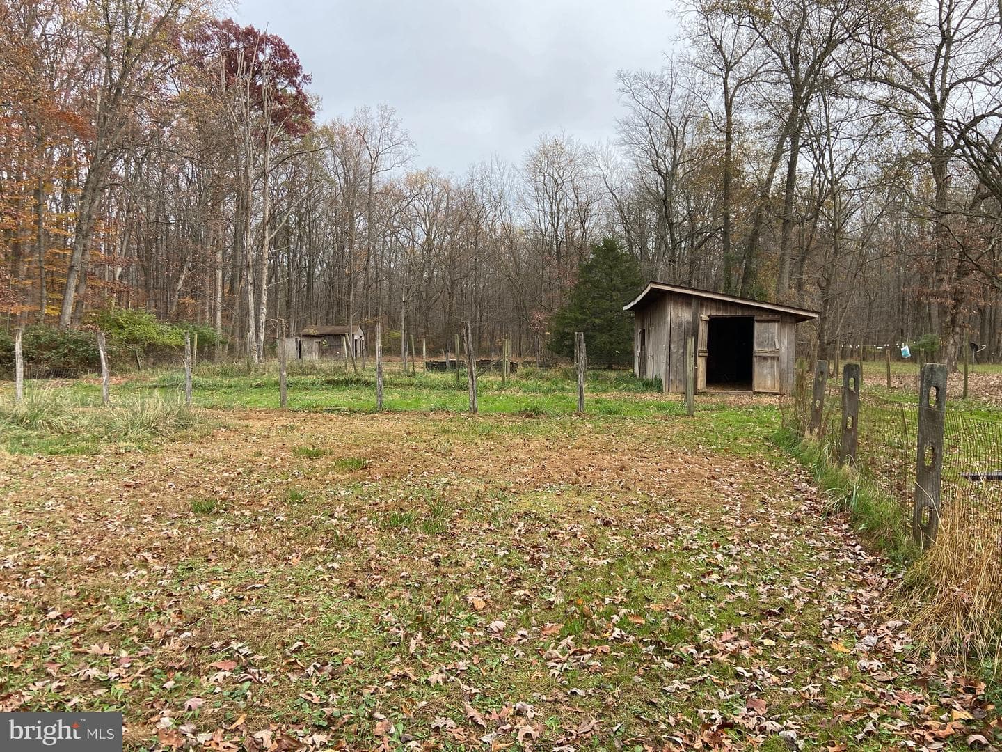 10711 Bethel Road photo 7