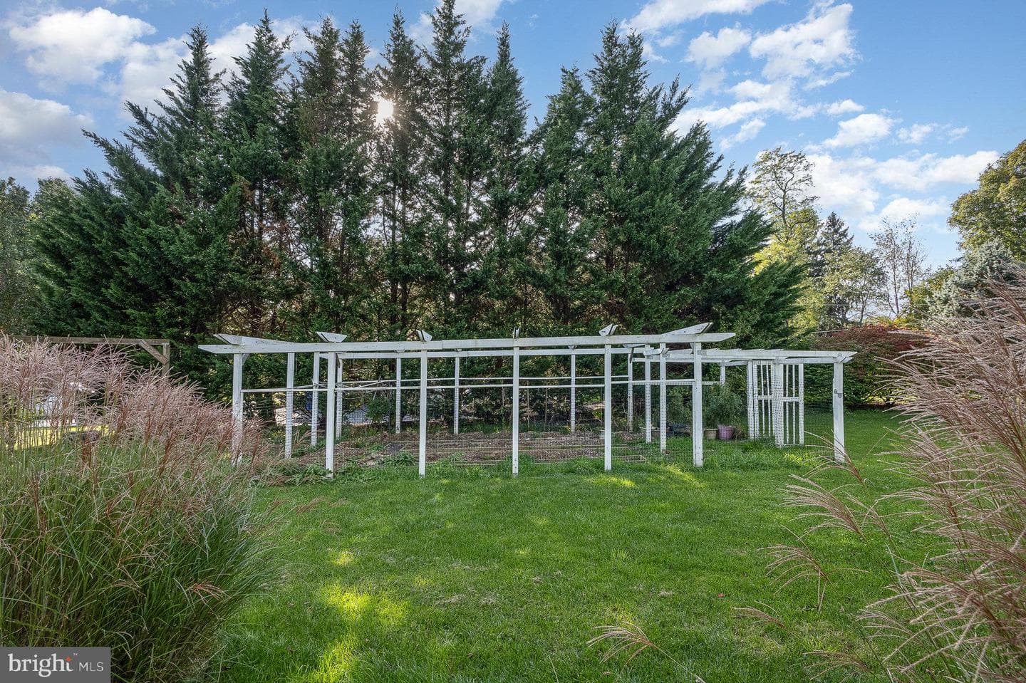 13842 Penn Shop Road photo 63