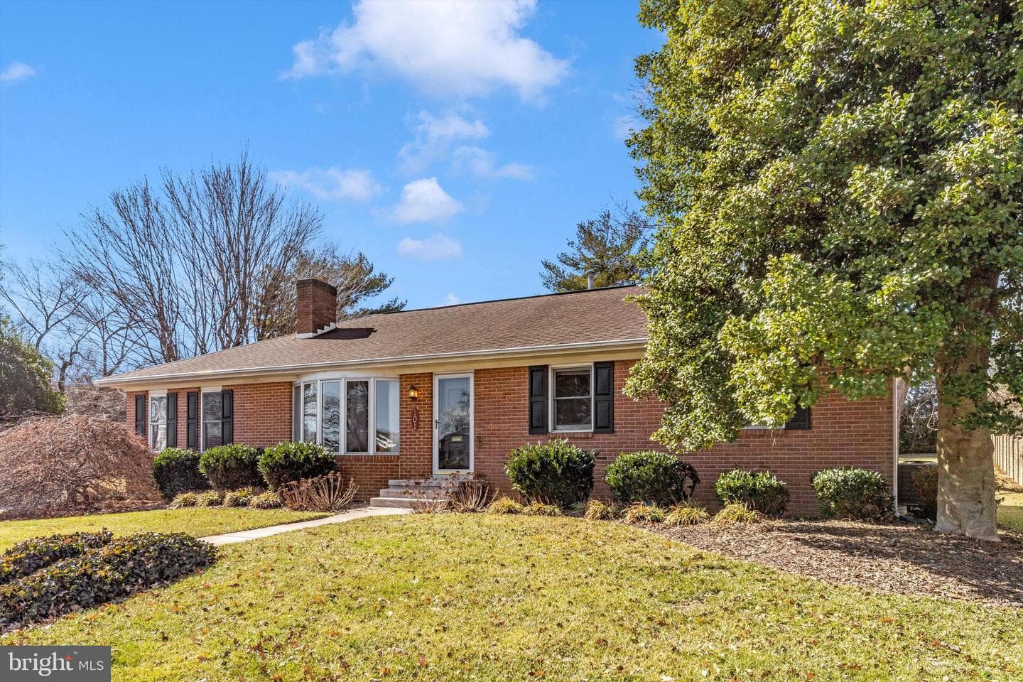 101 Fairview Avenue photo 50