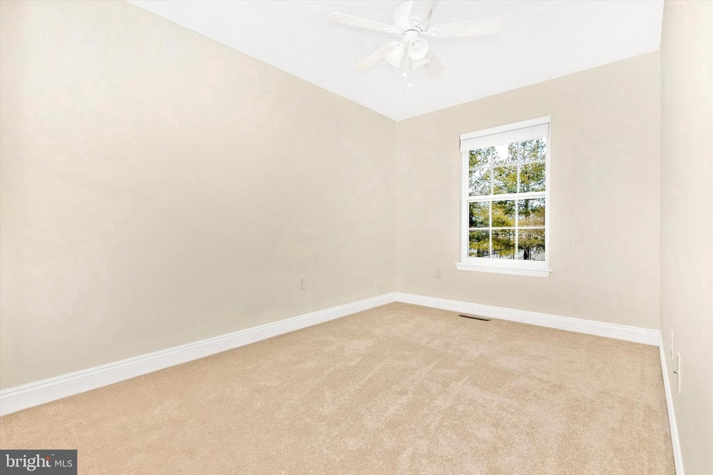 459 Arwell Court #459 photo 20
