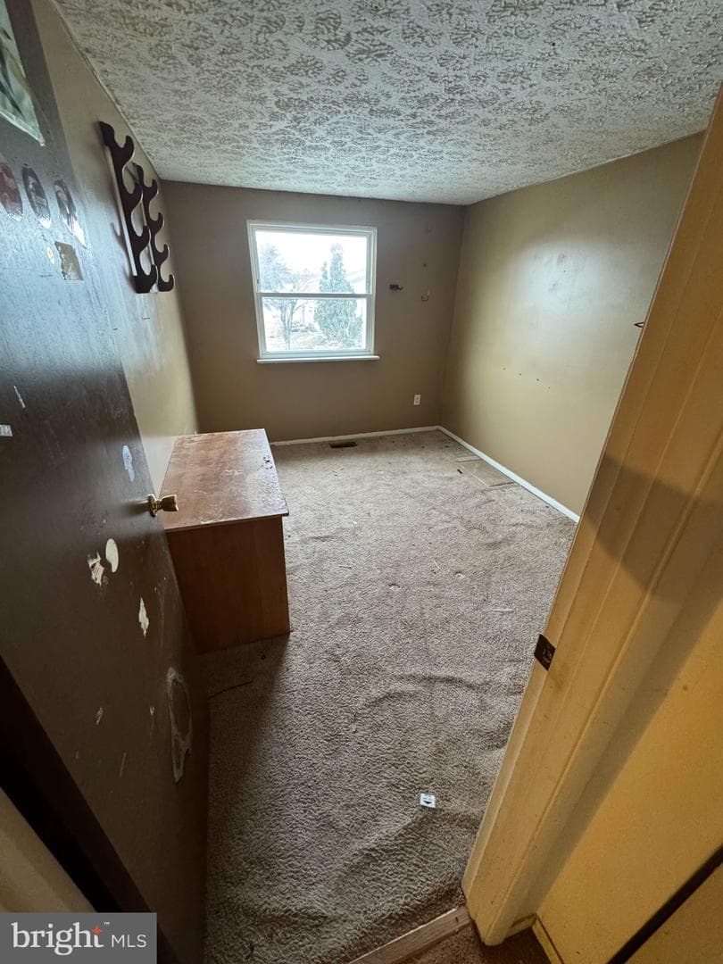 6718 Fallow Hill Court photo 12
