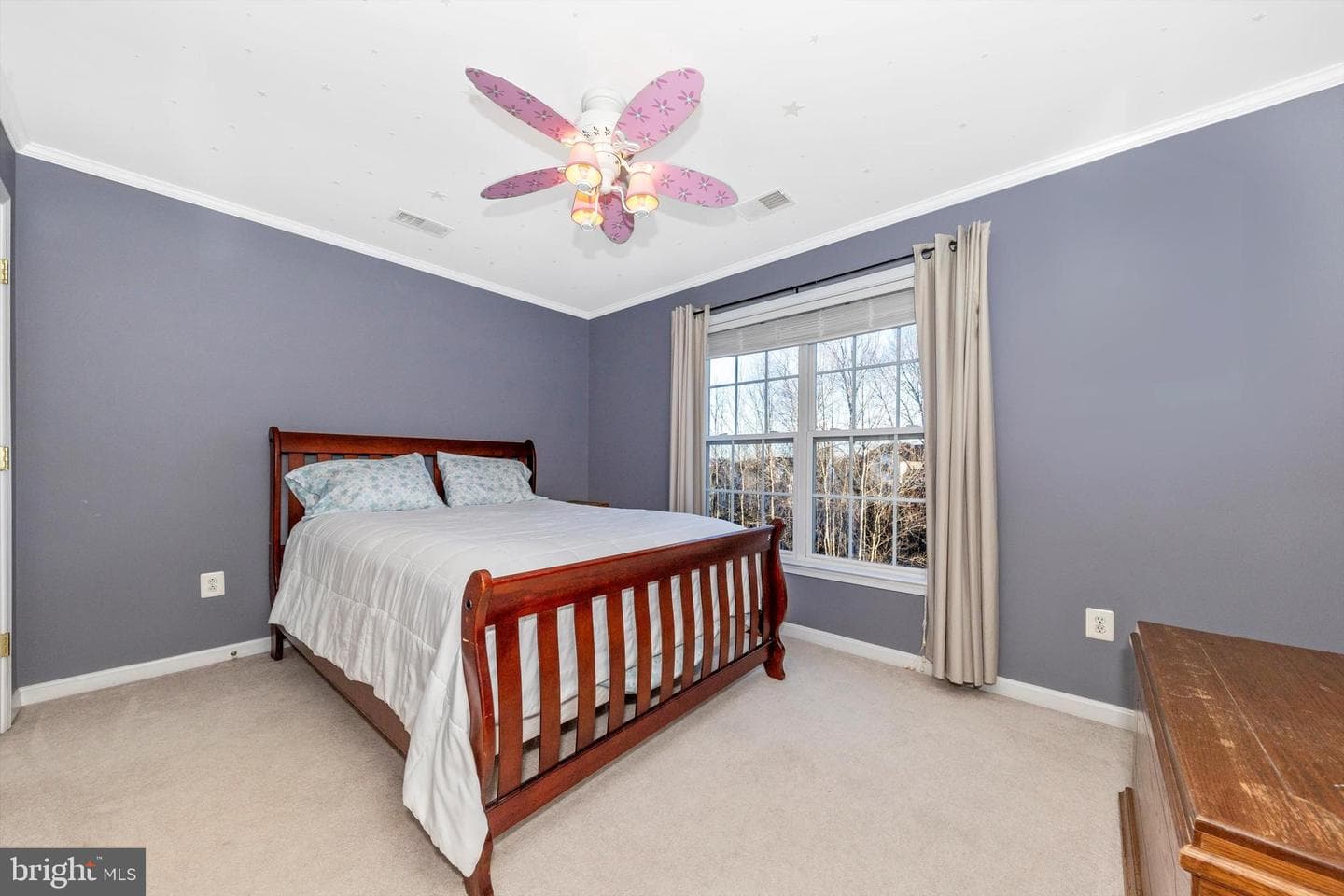 18 Donovan Court photo 31