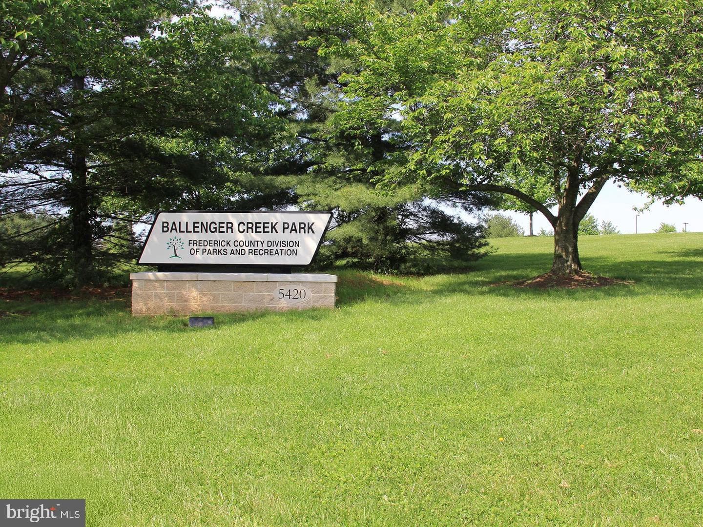 7022 Freedom Way photo 65