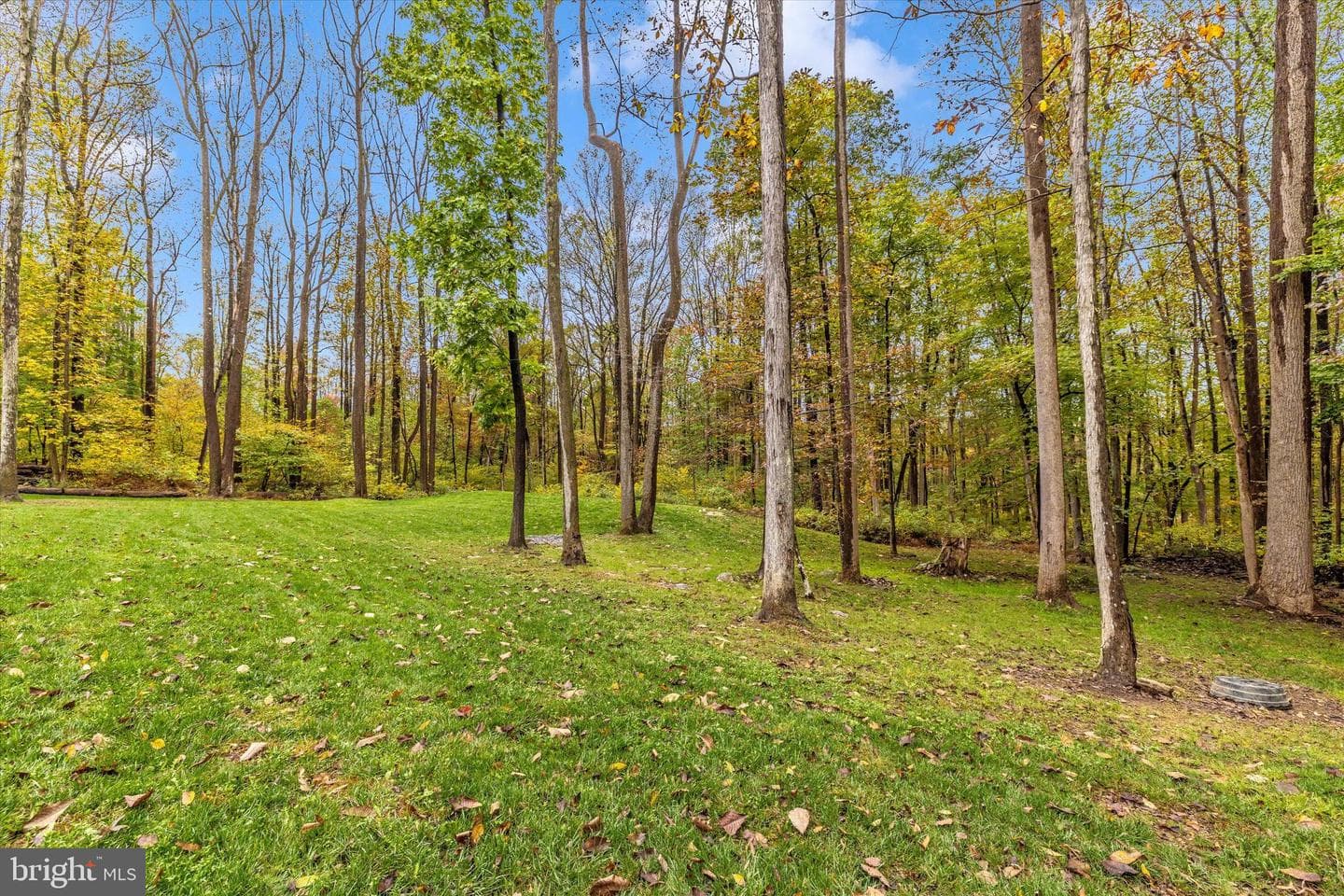 4940 Fox Tower Road photo 37