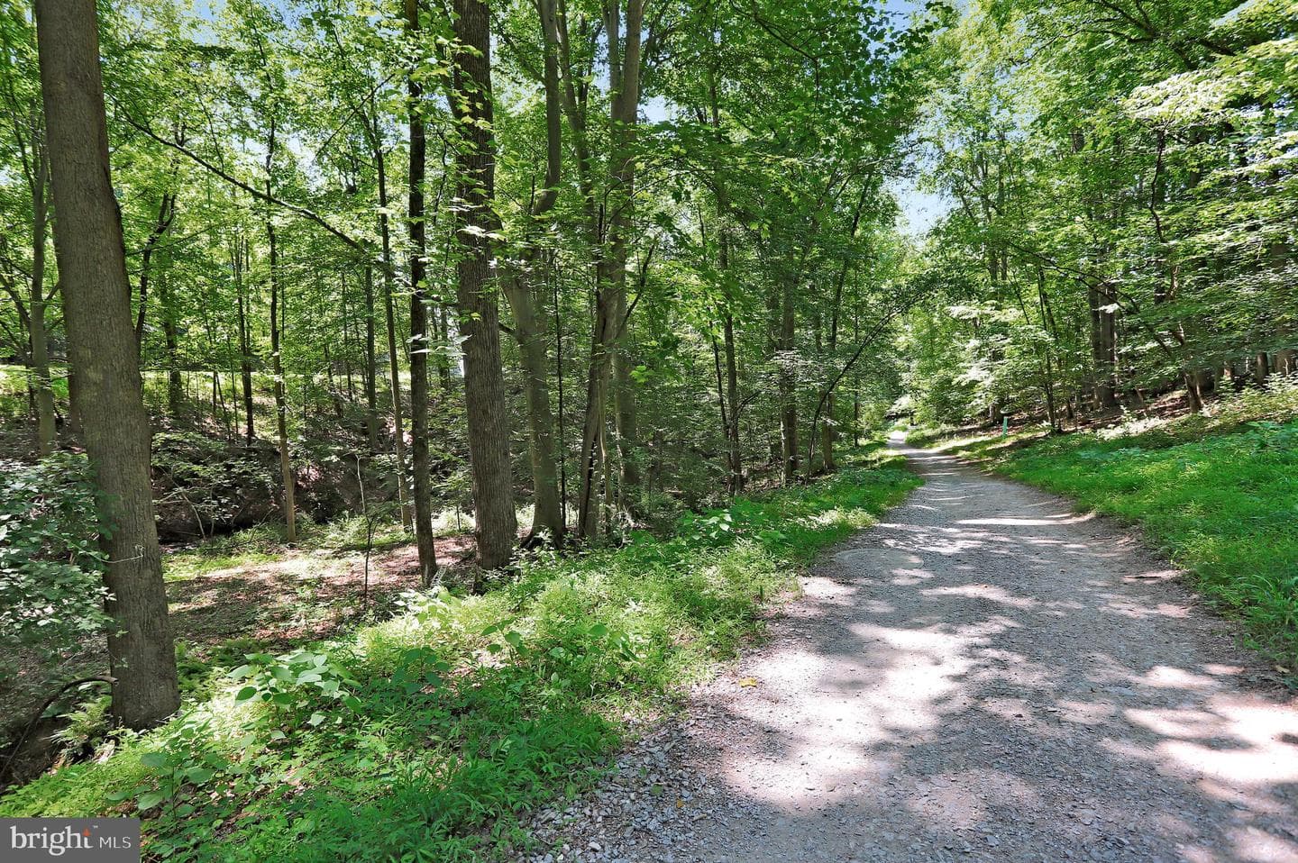 9641 Woodland Road photo 70