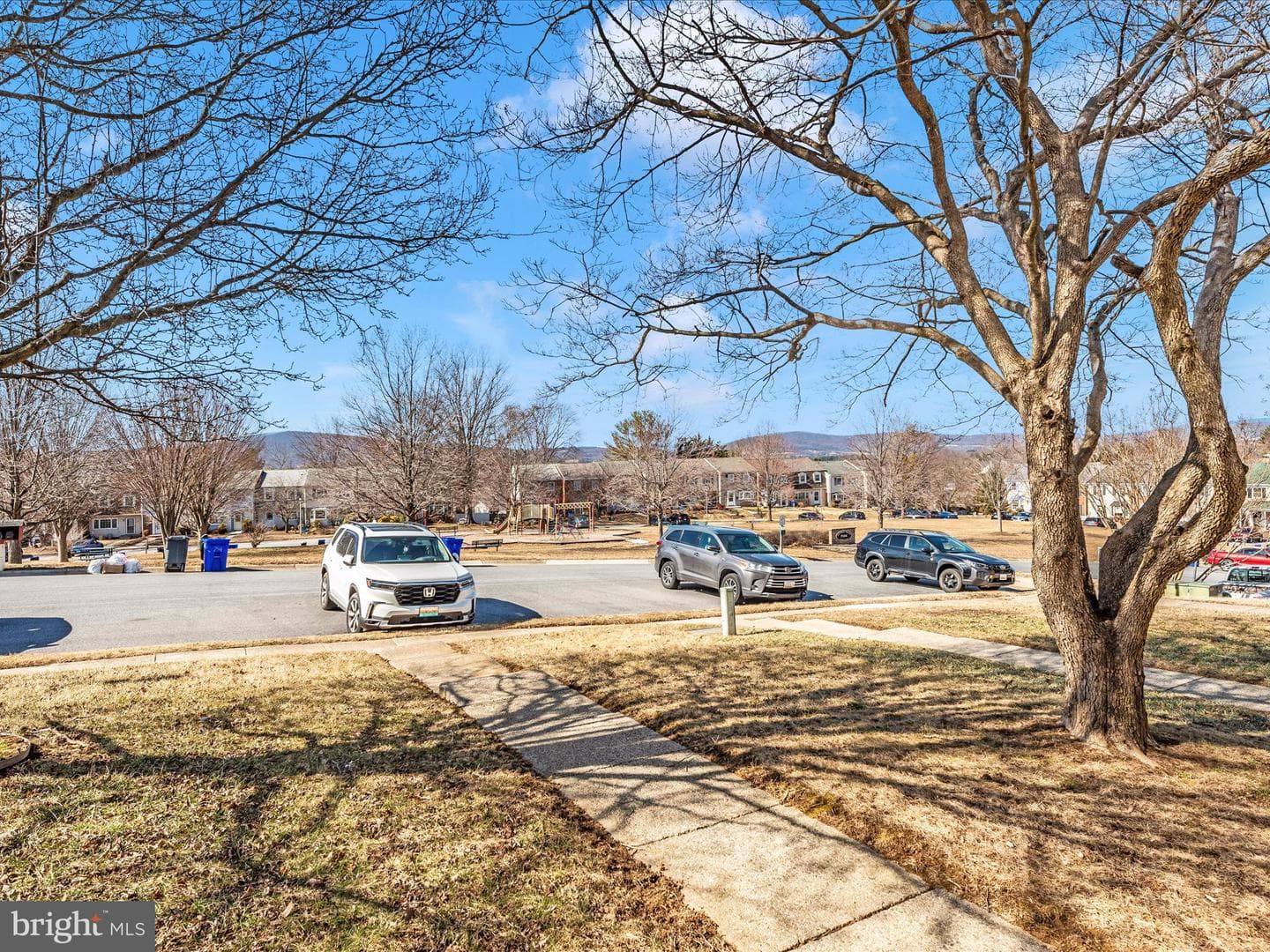5 Boileau Court photo 46