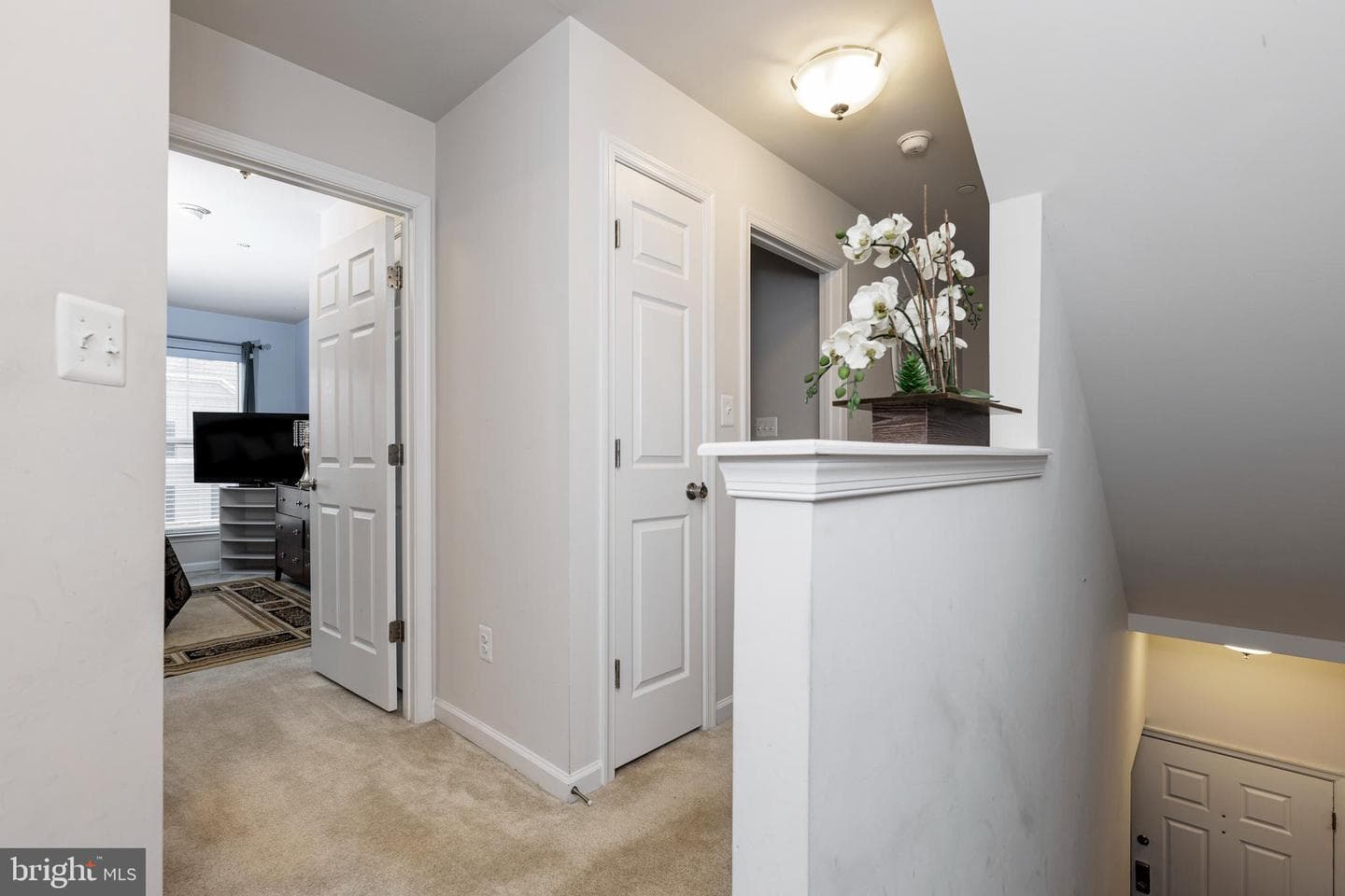 5879 Bella Marie Way photo 13