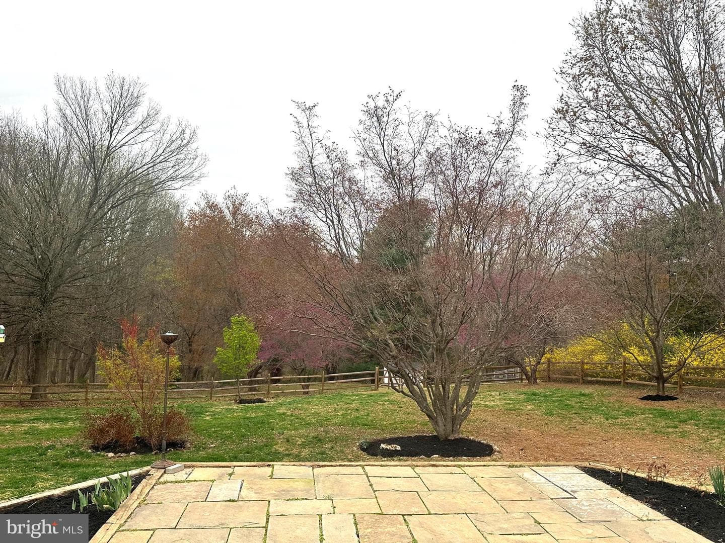 11376 Canary Drive photo 25