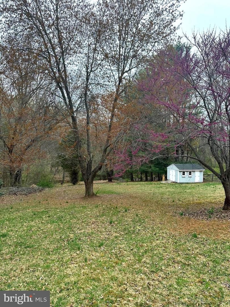 11376 Canary Drive photo 28