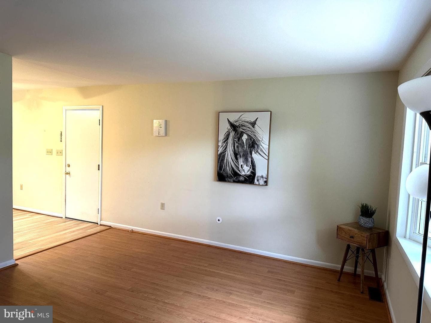 11376 Canary Drive photo 5
