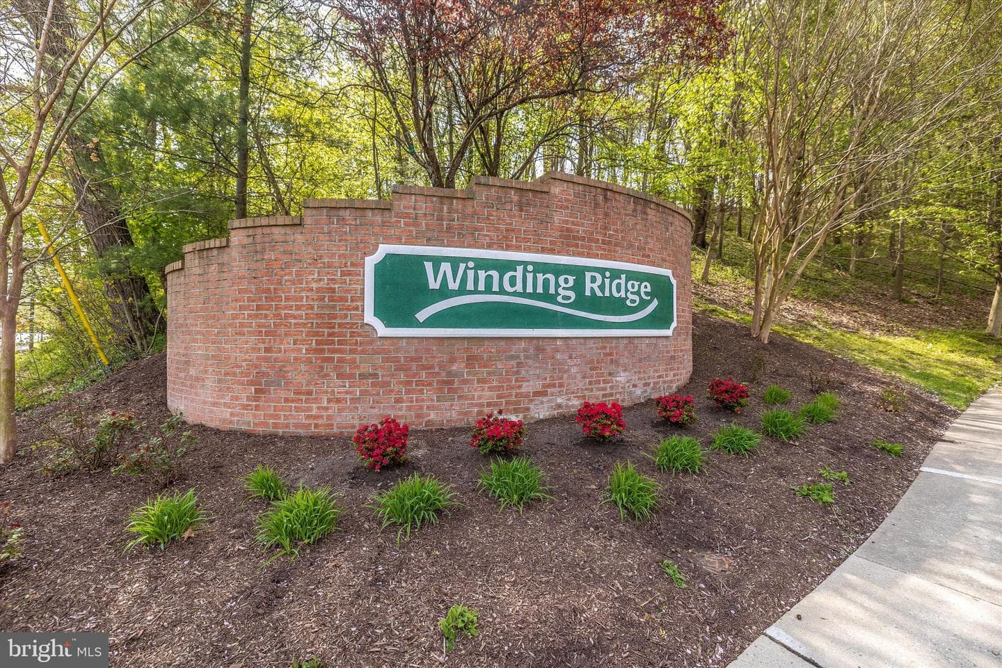 5815 Winding Ridge Way photo 66