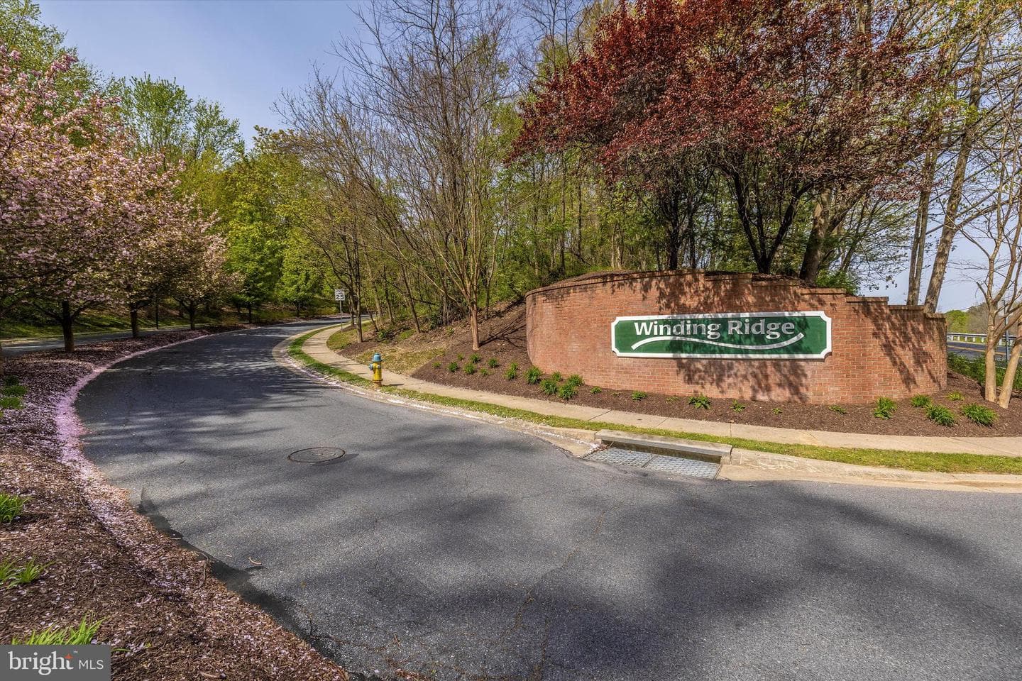5815 Winding Ridge Way photo 67