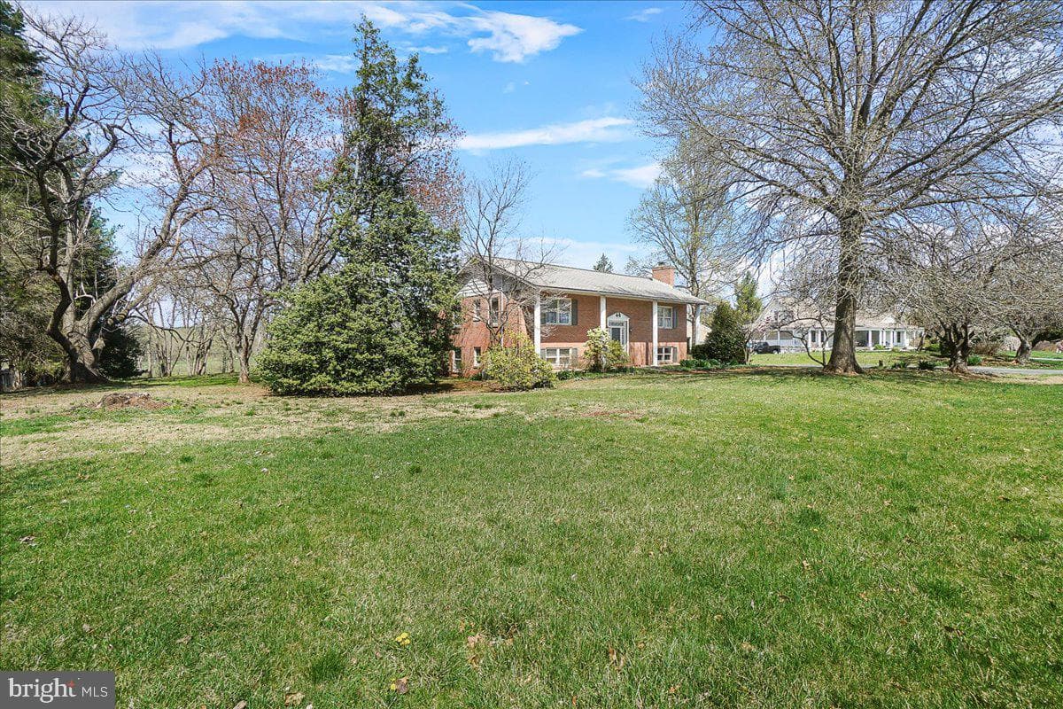 8402 Cub Hunt Court photo 4