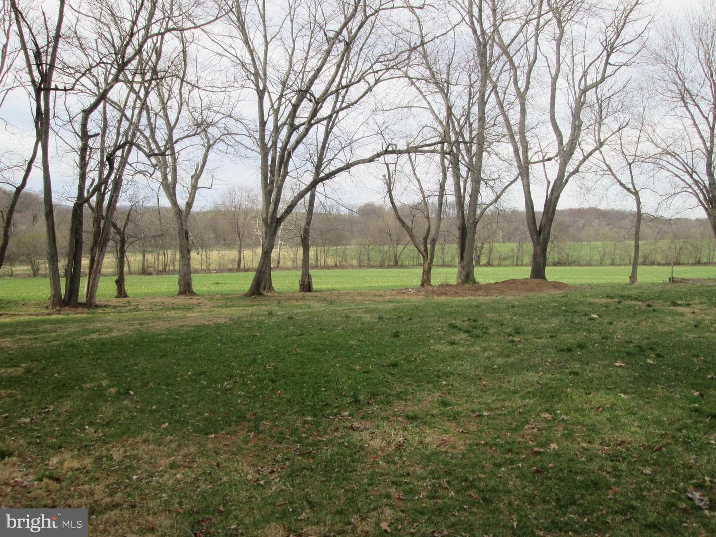 8402 Cub Hunt Court photo 6