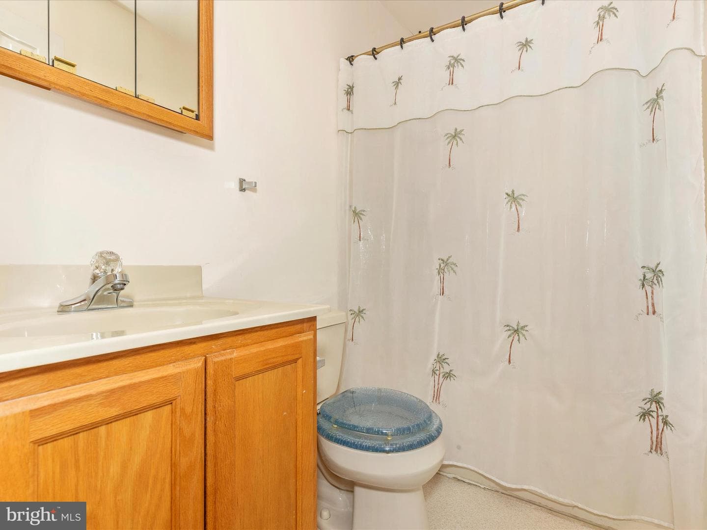 1 Irishtown Court photo 25