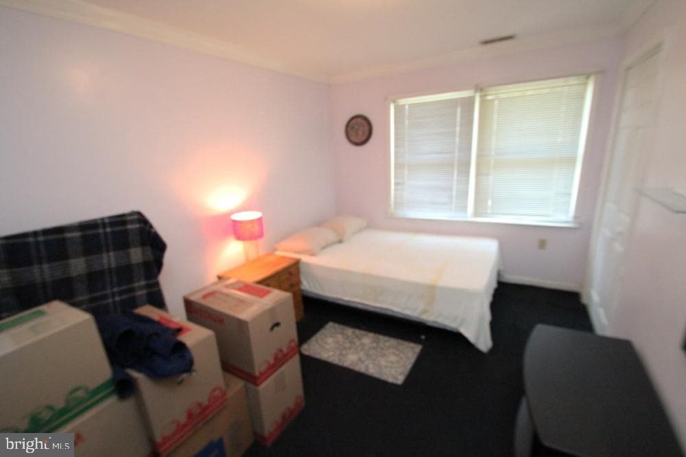 11920 Liberty Road #207b photo 12