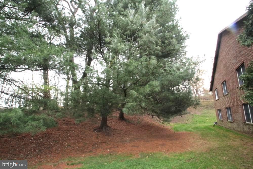 11920 Liberty Road #207b photo 2