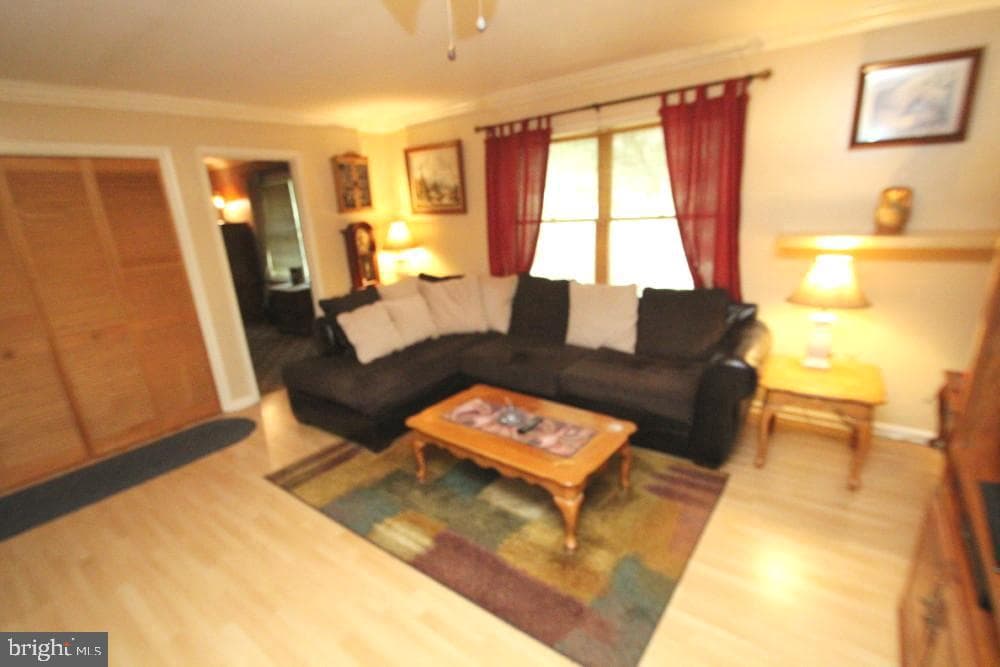 11920 Liberty Road #207b photo 4
