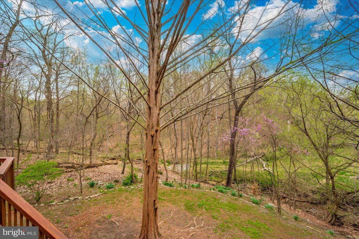 6022 Douglas Avenue photo 50