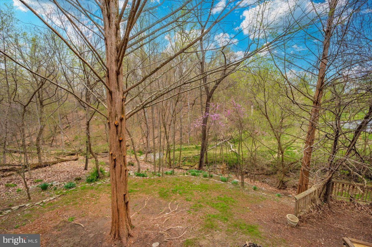 6022 Douglas Avenue photo 51