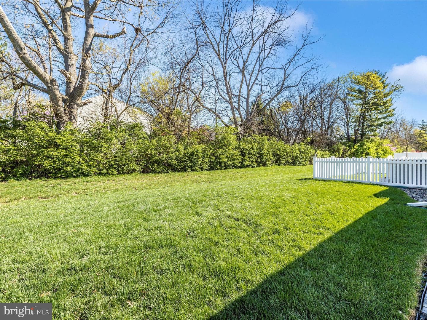 6538 Autumn Olive Drive photo 44