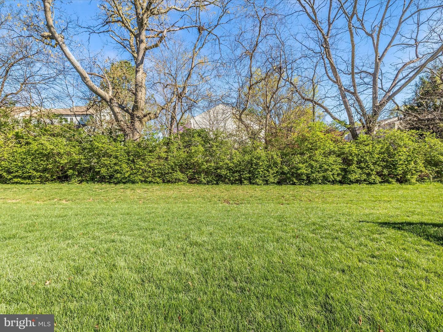 6538 Autumn Olive Drive photo 45