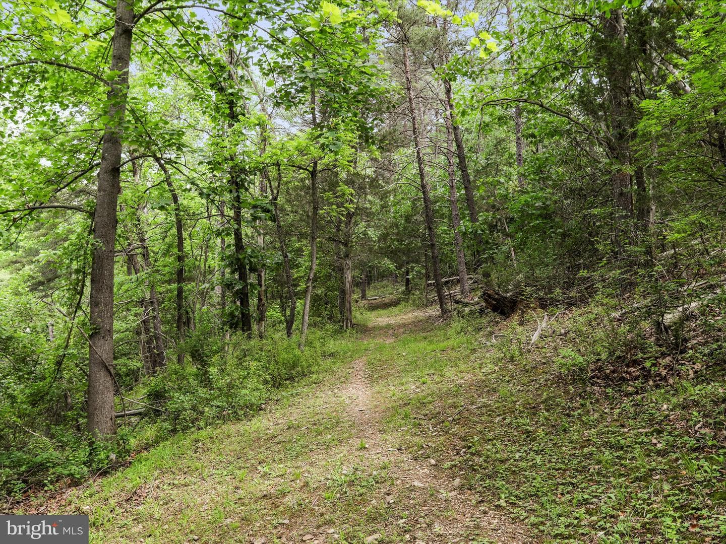 11035 Bennie Duncan Road photo 68