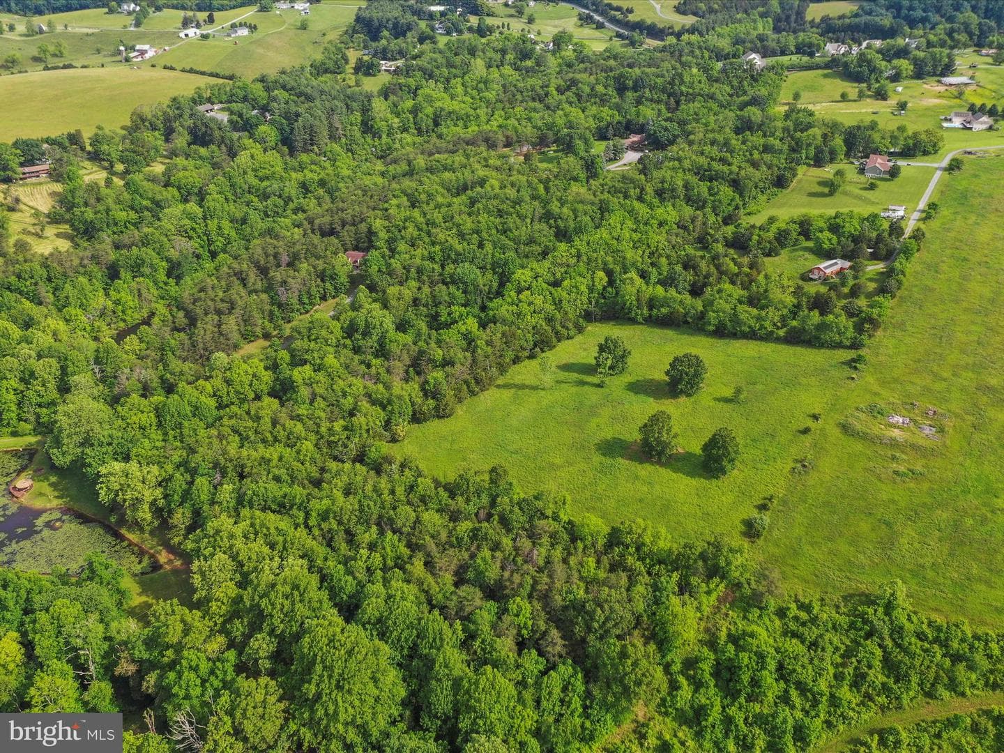 11035 Bennie Duncan Road photo 74