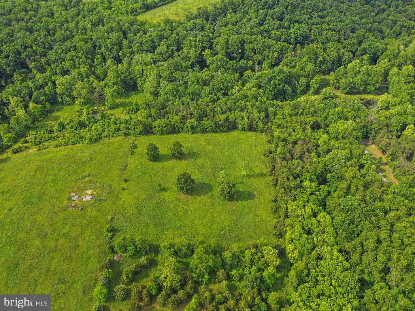 11035 Bennie Duncan Road photo 75
