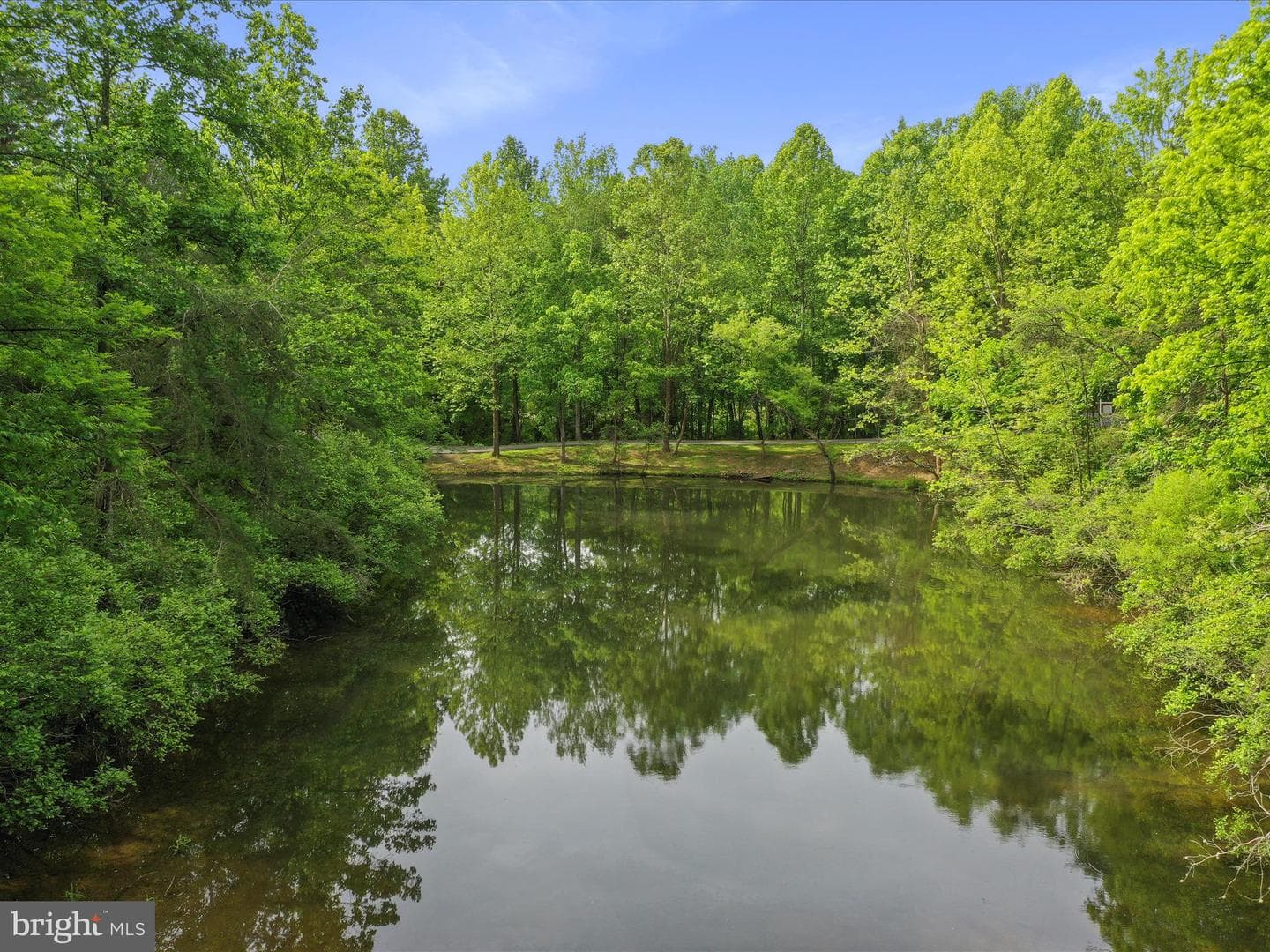 11035 Bennie Duncan Road photo 79