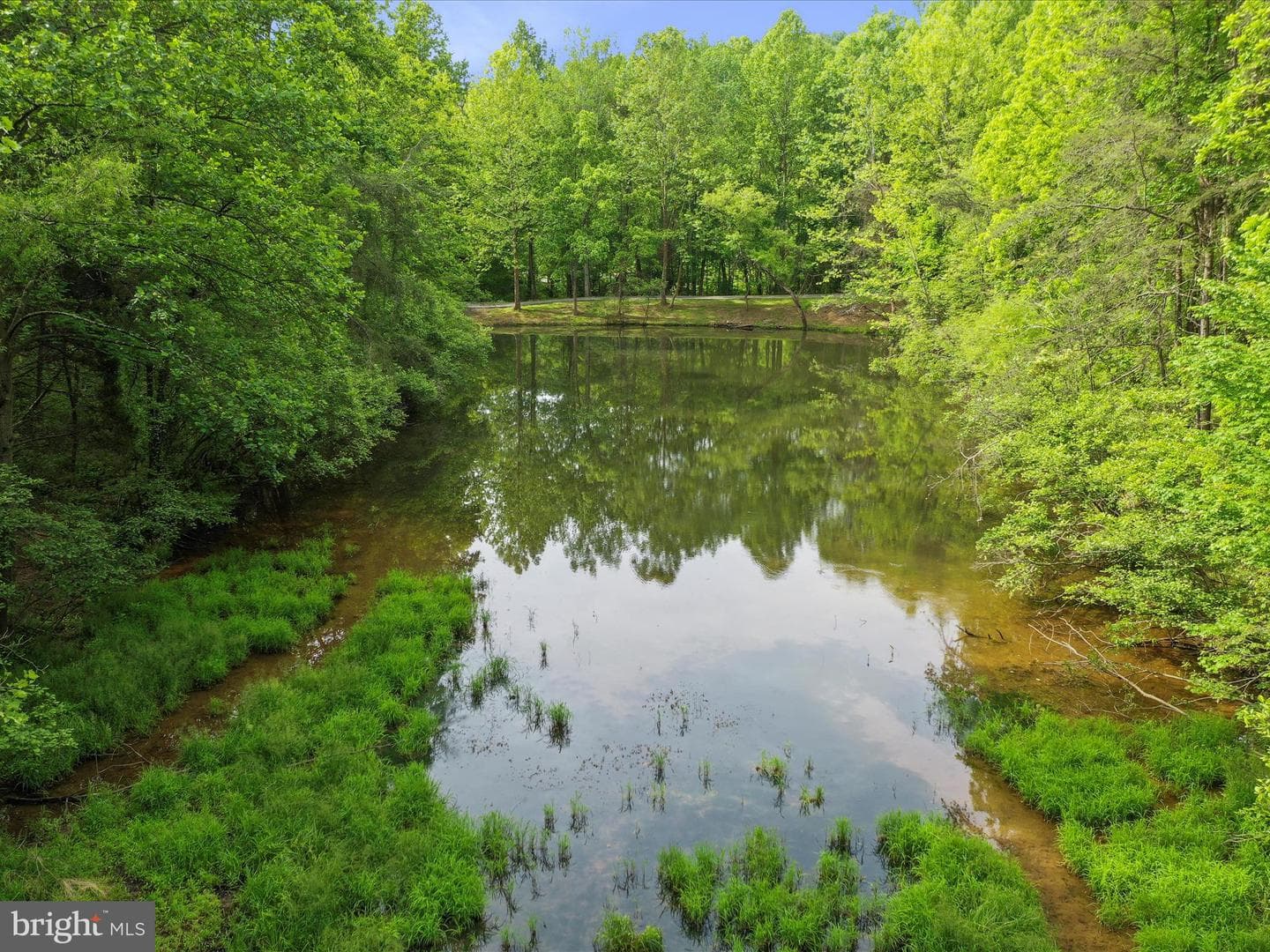 11035 Bennie Duncan Road photo 81