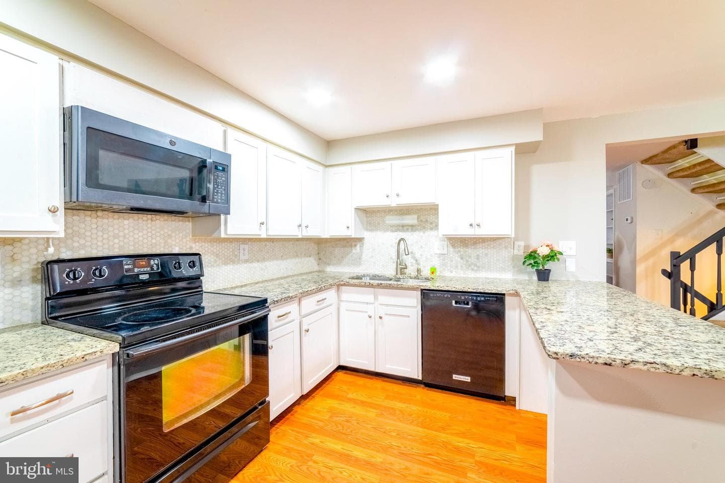 249 Canfield Terrace photo 11