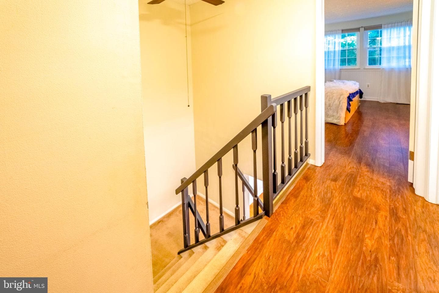 249 Canfield Terrace photo 13