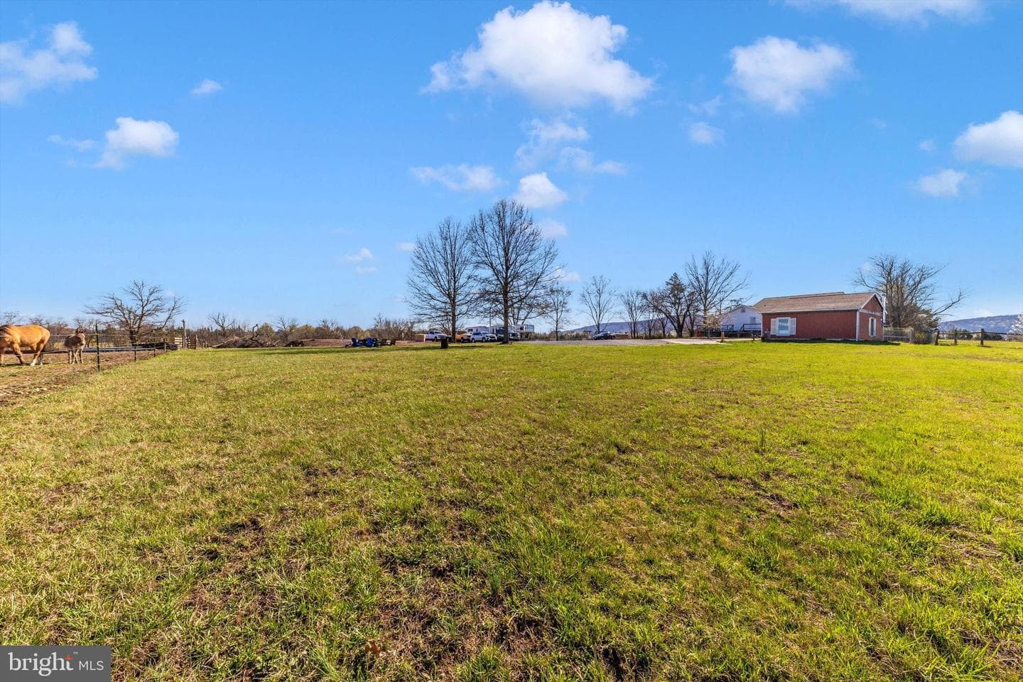 17449 Irishtown Road photo 51