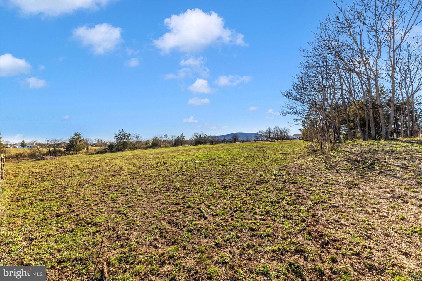 17449 Irishtown Road photo 54