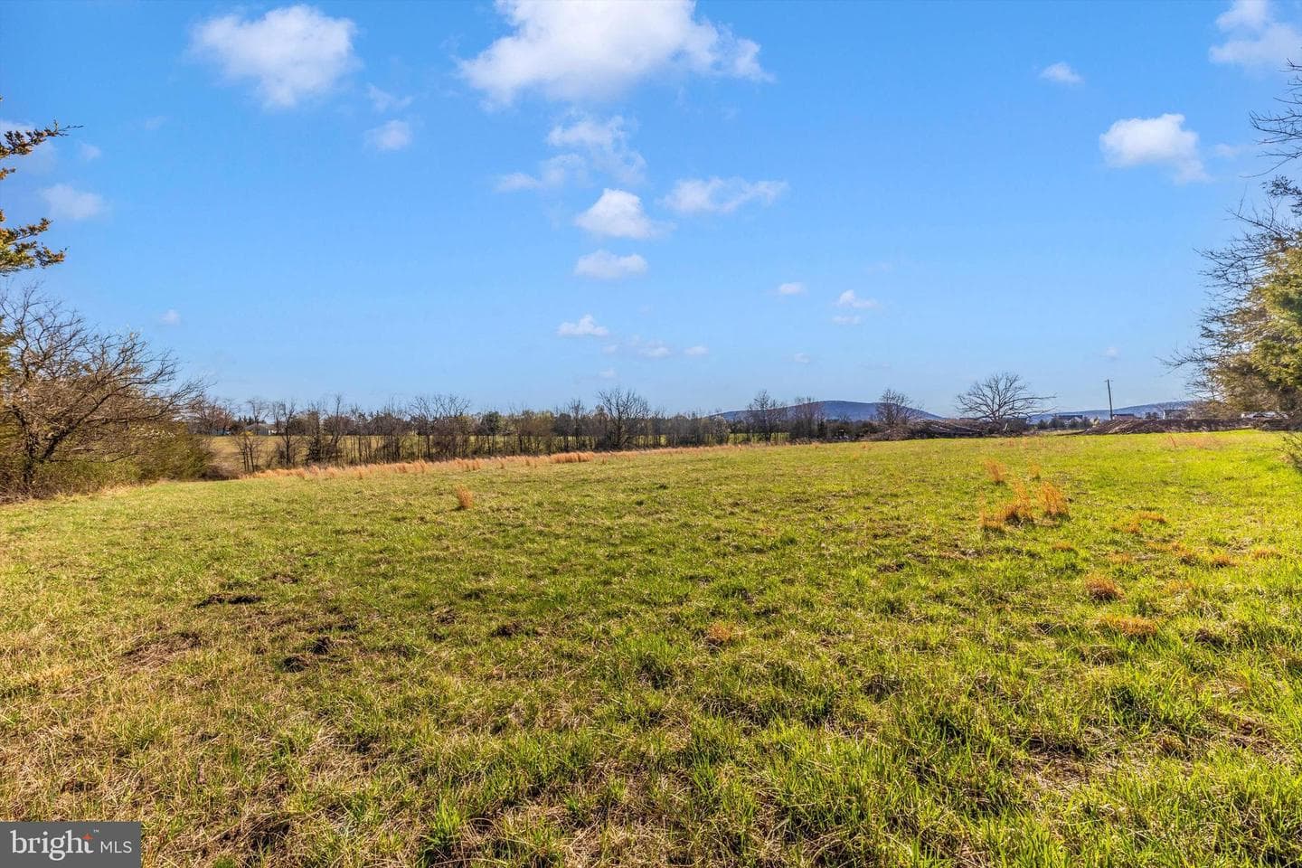 17449 Irishtown Road photo 57