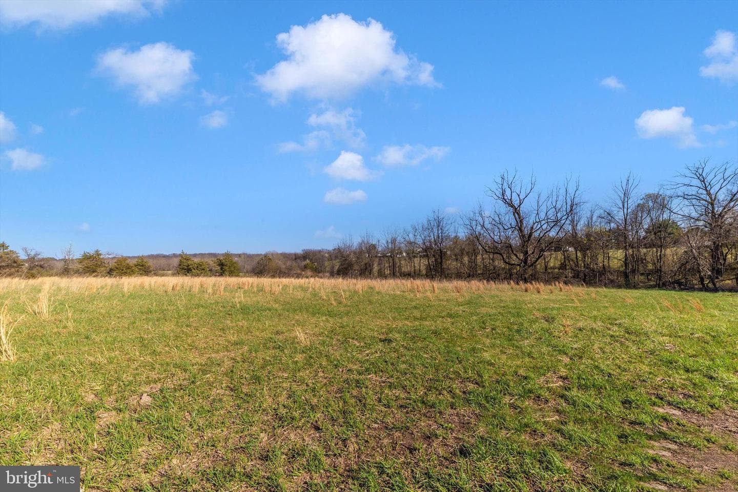 17449 Irishtown Road photo 60